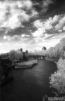 Roma Roma