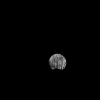 luna luna