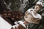 Borghesia senza radici Borghesia senza radici