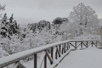 paesaggio unvernale paesaggio unvernale