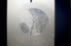 Mamma nevica! Mamma nevica!