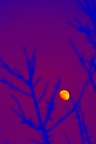 Un'insolita luna... Un'insolita luna...