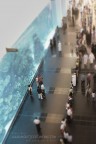Dubai Mall Dubai Mall