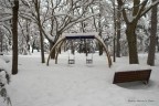 Giardini d'Inverno Giardini d'Inverno