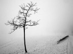 Inverno