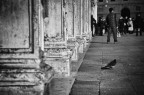 Guardo oltre... Guardo oltre...