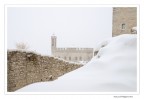 Neve Neve