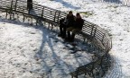 Amici