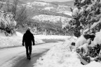 A cold walk A cold walk