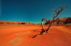 Monument Valley... Monument Valley...