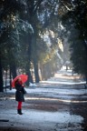 Stamani camminavo per villa Borghese a Roma e l'atmosfera nevosa � stata squarciata da un ombrello rosso...