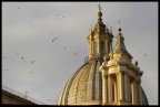 Cupola Cupola