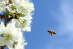 Voglia di primavera... Voglia di primavera...