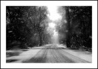 Tormenta Tormenta