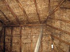 Ecologia Sem Terra - Brazil-Tocantins
La capanna � di legno e paglia, ma la lampadina � a basso consumo energetico.
Porto Nacional - Tocantins
Capanna di famiglia Sem Terra