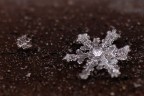 Fiocco di neve Fiocco di neve