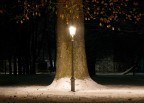 Magritte ? Magritte ?