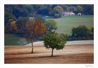A spasso per le campagne. A spasso per le campagne.