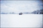 Enjoy the silence Enjoy the silence