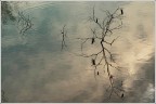 Attraverso il riflesso... Attraverso il riflesso...