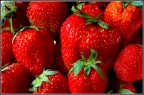 Fragole. Fragole.