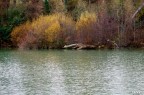 tevere tevere