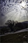E Luce Sia ! E Luce Sia !