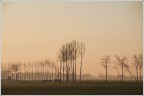 Nella luce dell'alba... Nella luce dell'alba...