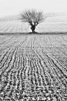 Paesaggio interiore Paesaggio interiore