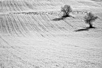 Paesaggio interiore 2 Paesaggio interiore 2