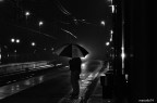 Dark Rain Dark Rain