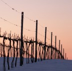 finepix S2000HD  f/5.3  1/105sec.  ISO-800   dist. foc. 39mm   mass.ap. 3.6

non ho corretto il colore, � la prima volta che l'occhio e la fotocamera "leggono" lo stesso tono