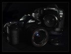 Still life #2 generazioni Still life #2 generazioni