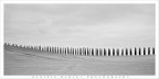 ..tutti in fila... ..tutti in fila...