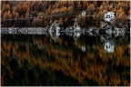 Riflessi Riflessi