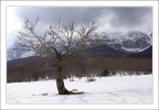 solitario solitario
