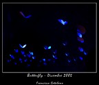 Sit Lux, et fuit lux - #1 Sit Lux, et fuit lux - #1