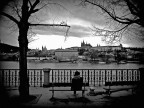 Lonely Lonely