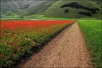 In viaggio per l'Italia In viaggio per l'Italia