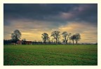 Campagna normanna Campagna normanna
