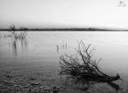 ...Lago Simbirizzi... ...Lago Simbirizzi...