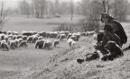 Compagni di Vita Compagni di Vita