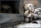 "Ogn'anno, il due novembre, c'è l'usanza..." "Ogn'anno, il due novembre, c'è l'usanza..."