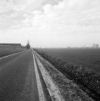 Linee Linee