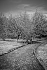 PARCO URBANO PARCO URBANO