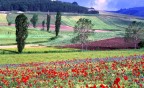 Paesaggio primaverile ripreso nel mese di maggio