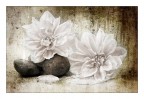 texturizzando texturizzando