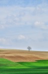 Collina minimale Collina minimale