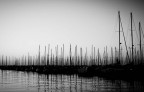 Tramonto b/n Tramonto b/n