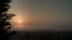 Fog-2 Fog-2